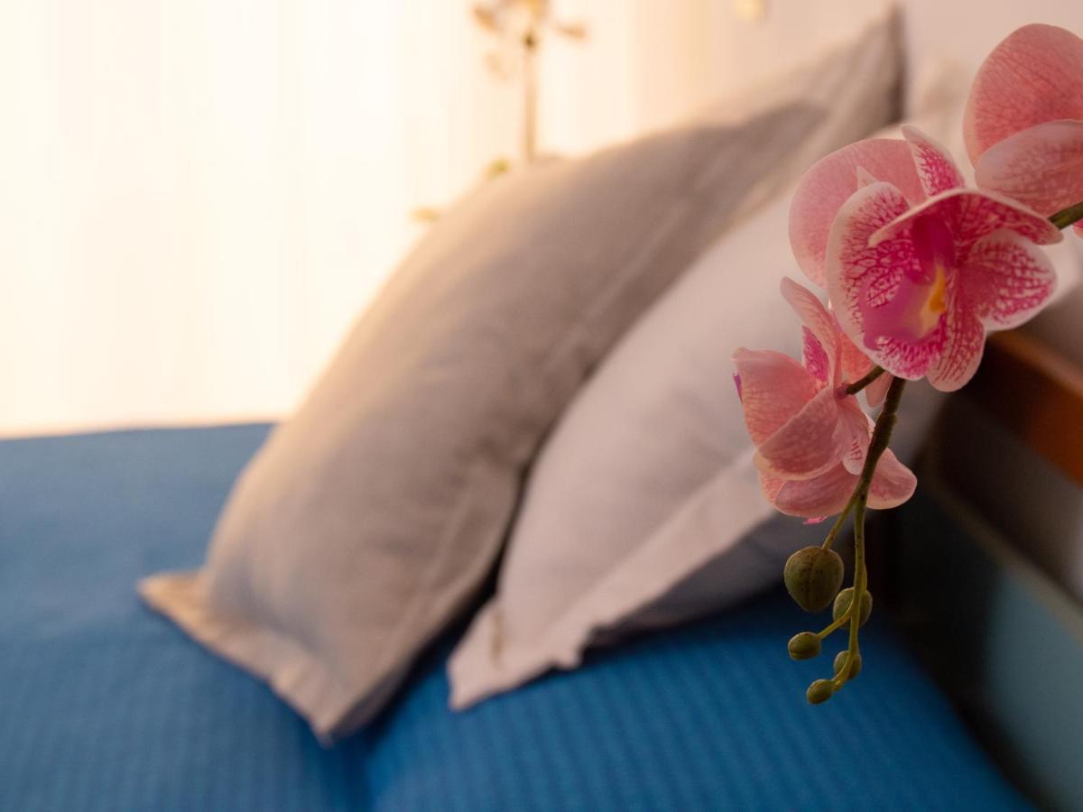 Hotel Merano 미사노아드리아티코 외부 사진